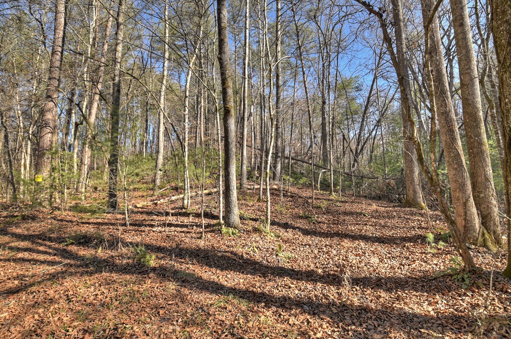 15.46 Dunn Mill Creek Road