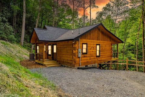 122 Laurel Creek Trail Blue Ridge GA 30513