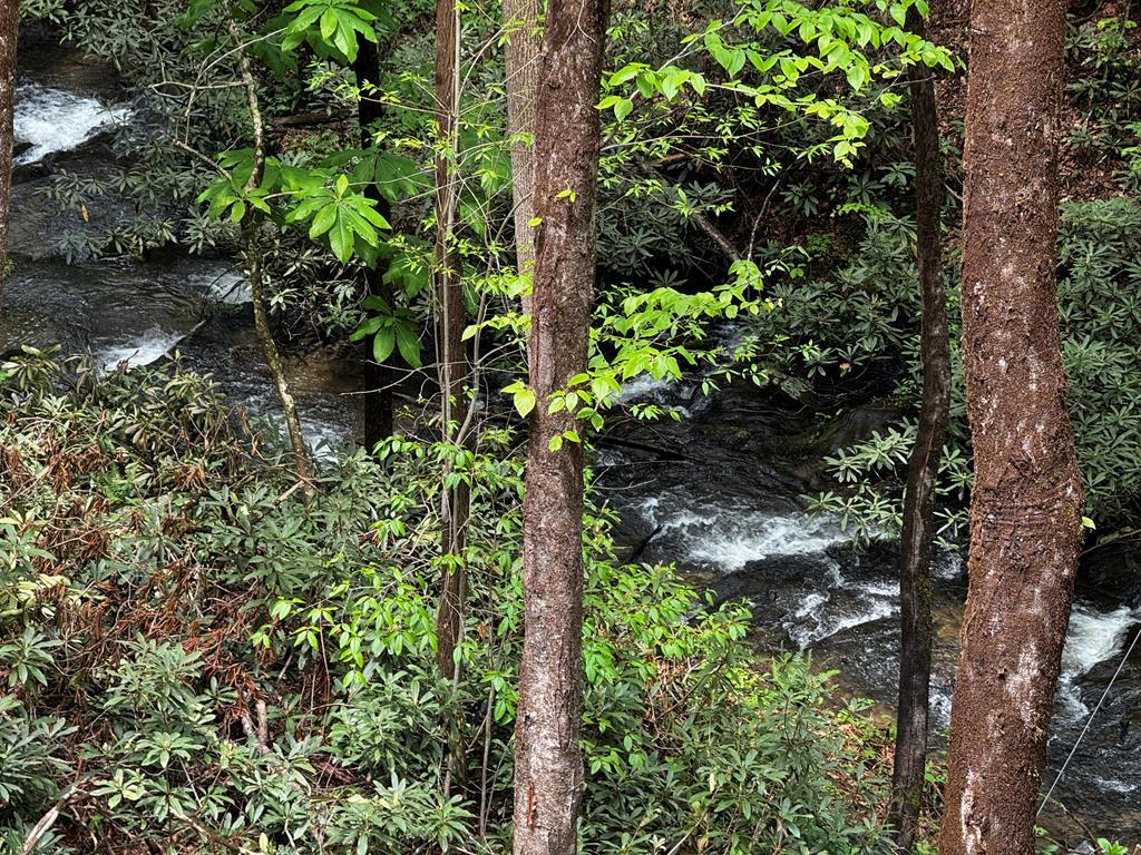 122 Laurel Creek Trail