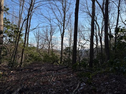 Lot 43 Laurel Lane Murphy NC 28906