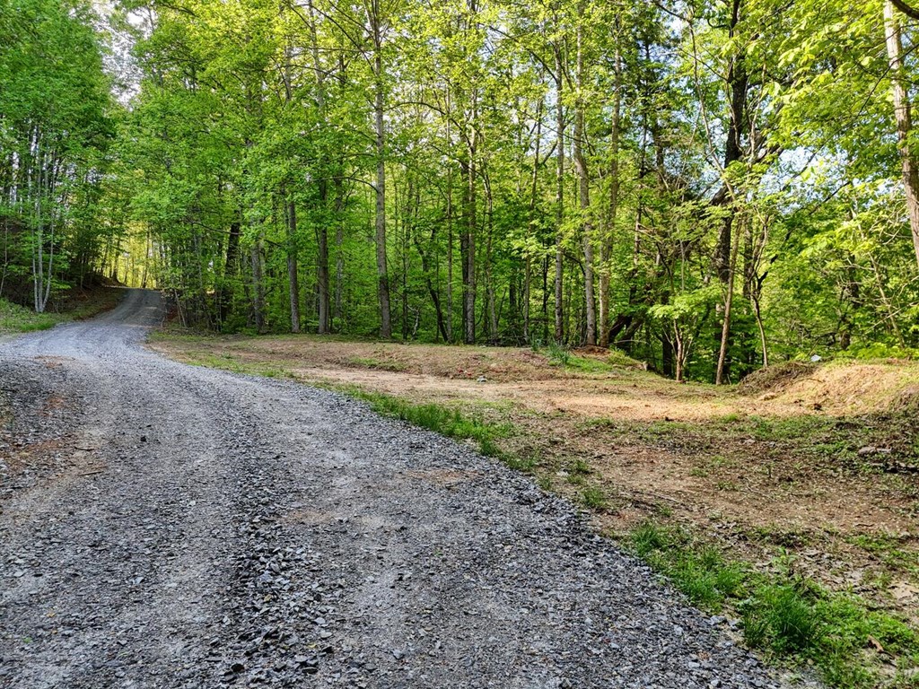 Tract 16 Quinn Cove Road