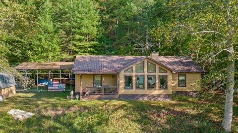 A home in Mineral Bluff