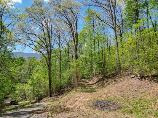 370 TAYLOR WAY, HIAWASSEE, GA 30546 - Image 9e27dfbb97f67f62d6ba46cd809beb1a/1499982137