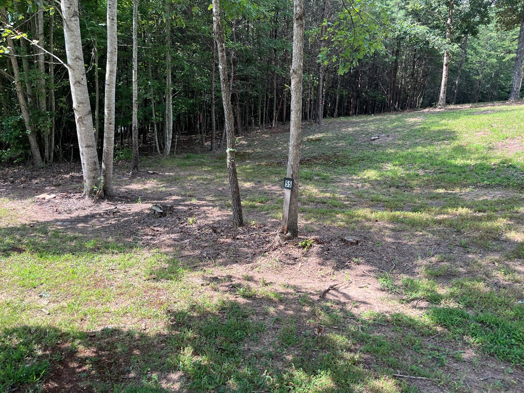 Lot 55 Ray Drive