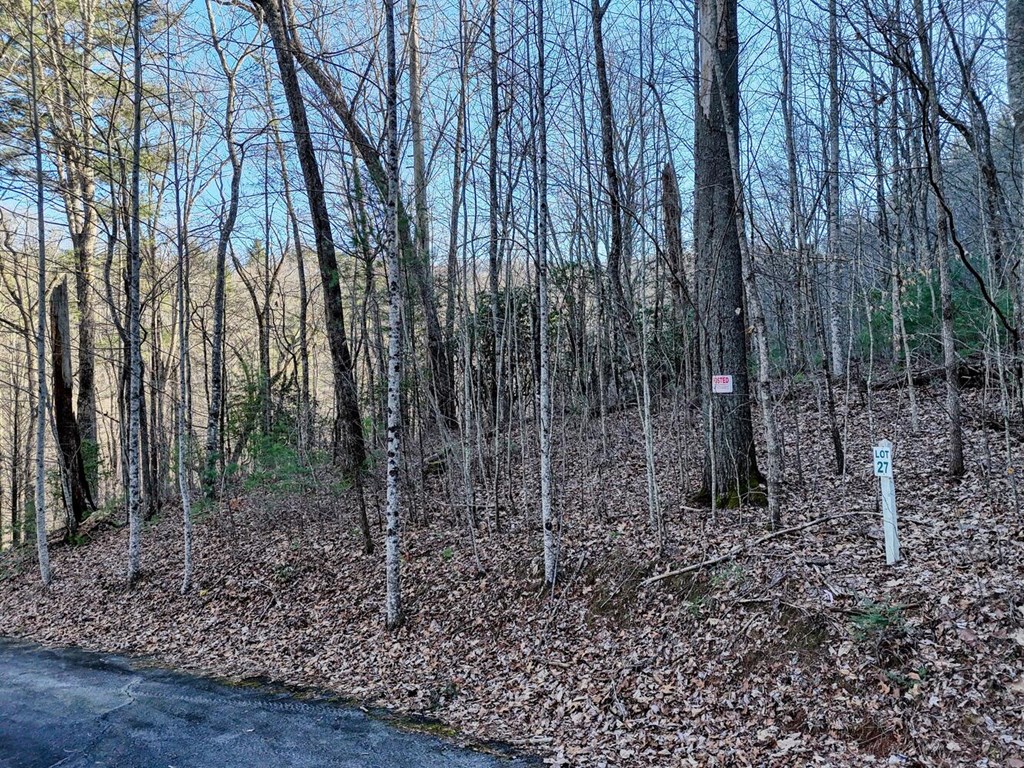 Lot 27 Highland Falls