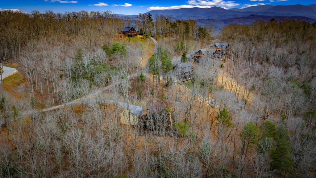 Blue Ridge, Georgia, 30513, United States, 3 Bedrooms Bedrooms, ,4 BathroomsBathrooms,Residential,Active,2028743