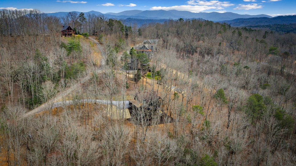 Blue Ridge, Georgia, 30513, United States, 3 Bedrooms Bedrooms, ,4 BathroomsBathrooms,Residential,Active,2028743