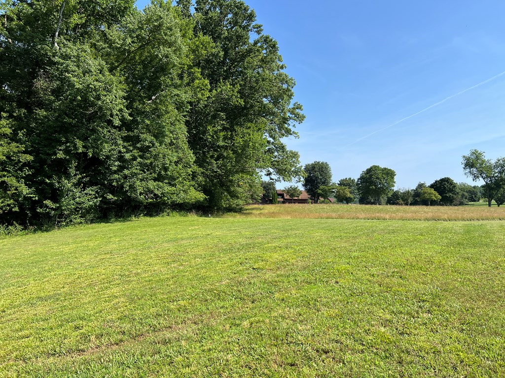 Lot 8 Old Birch Bend