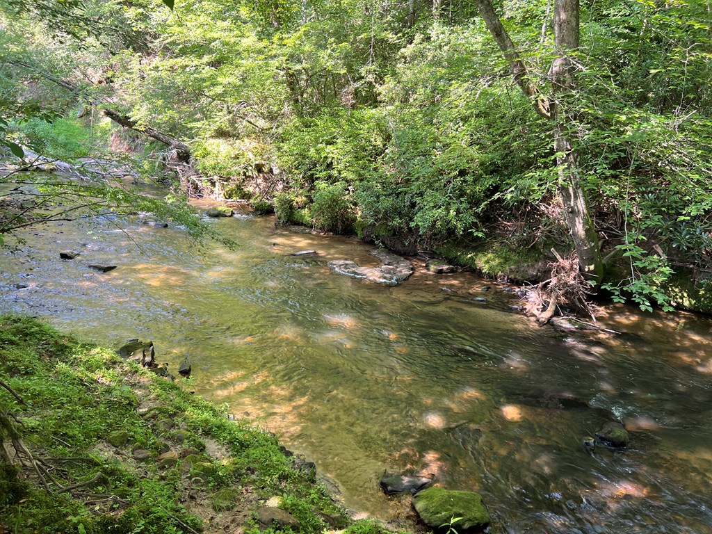 Lot 8 Old Birch Bend