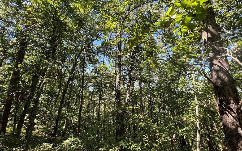 16 Hawks Branch Lane