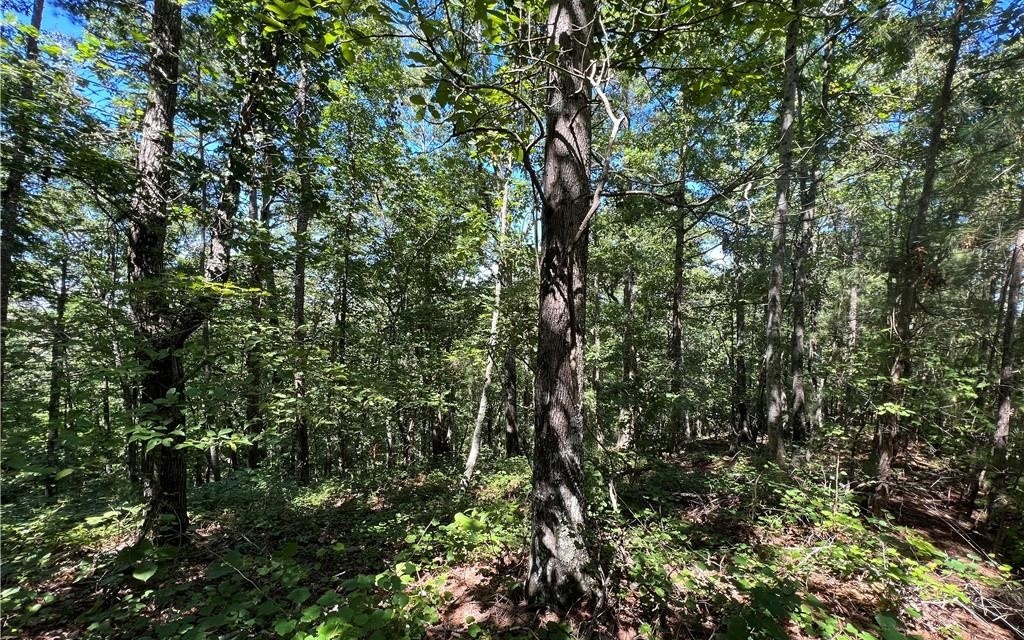 16 Hawks Branch Lane