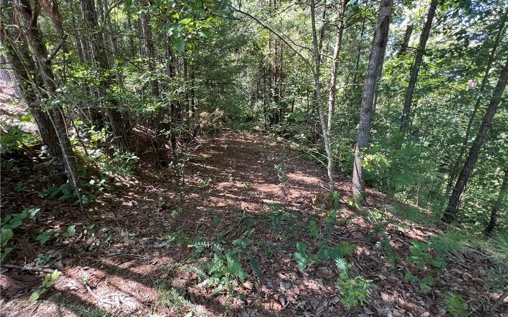 16 Hawks Branch Lane