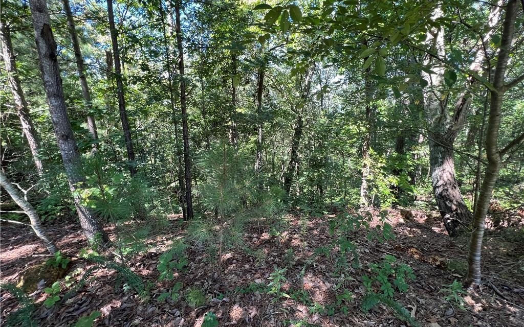 16 Hawks Branch Lane