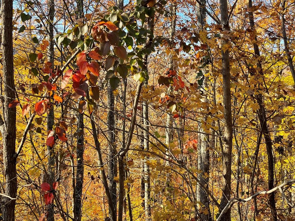 39M 40M Ridges Overlook