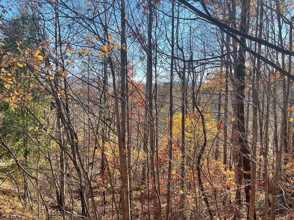 39M 40M Ridges Overlook