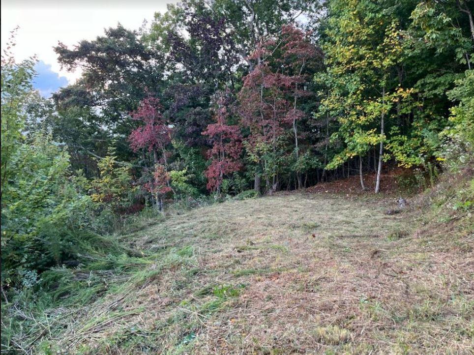 Lot 13 Bell Lake View
