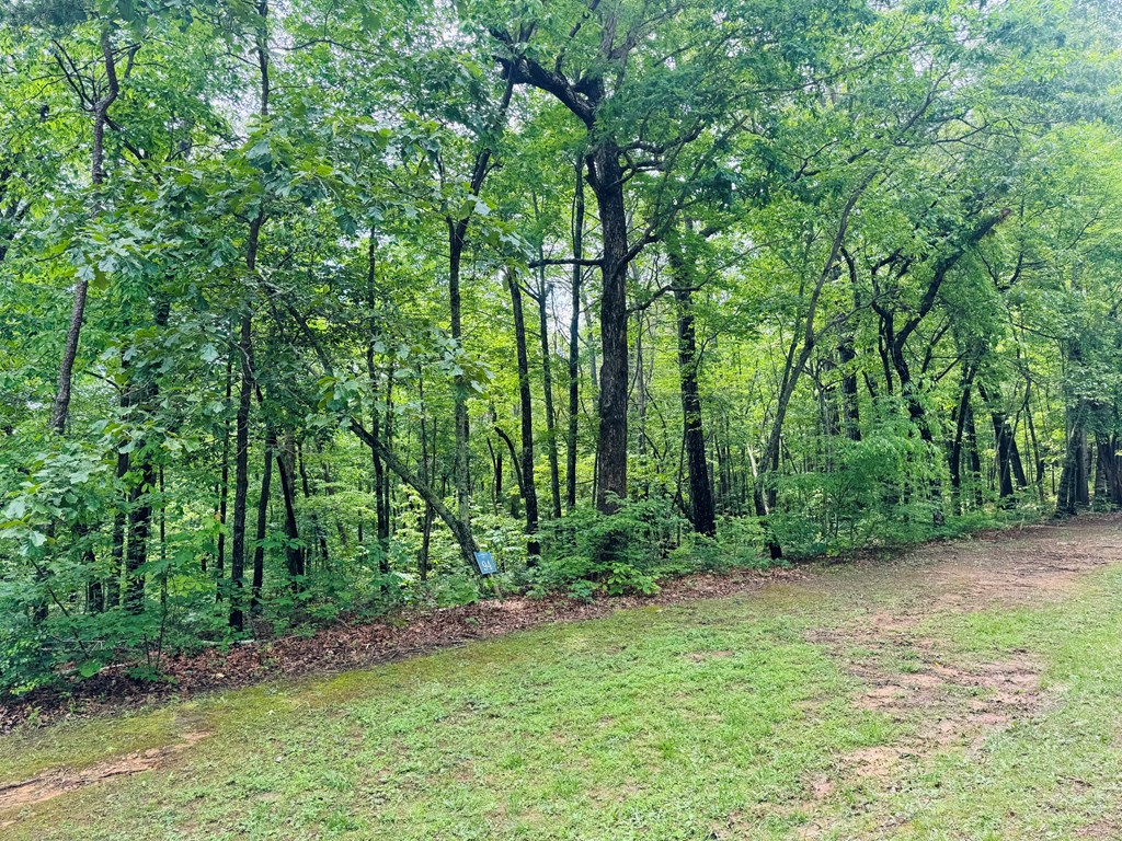 Lot 94 Doll Mountain Road