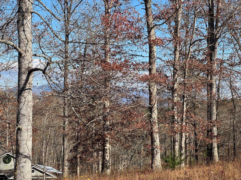 Lot 5&5A Mcclure Drive