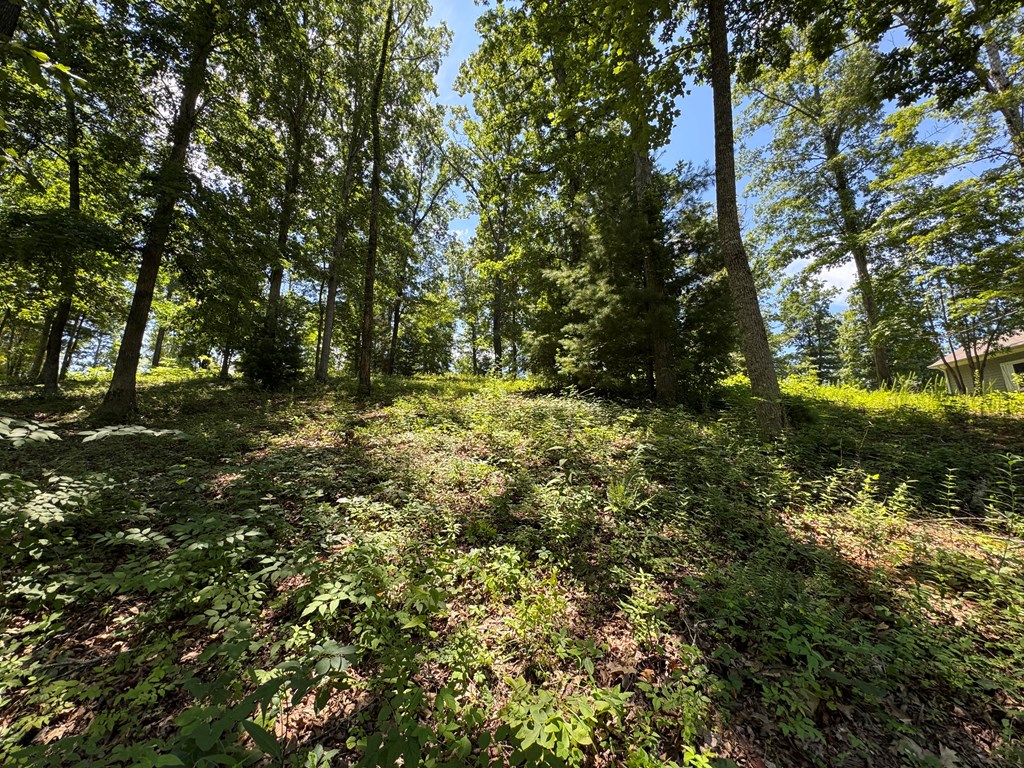 Lot 5&5A Mcclure Drive