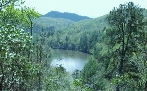 A home in Hayesville