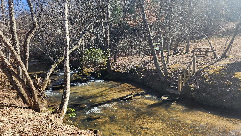 21 Arbor Creek Trail