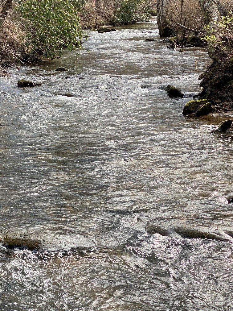 21 Arbor Creek Trail