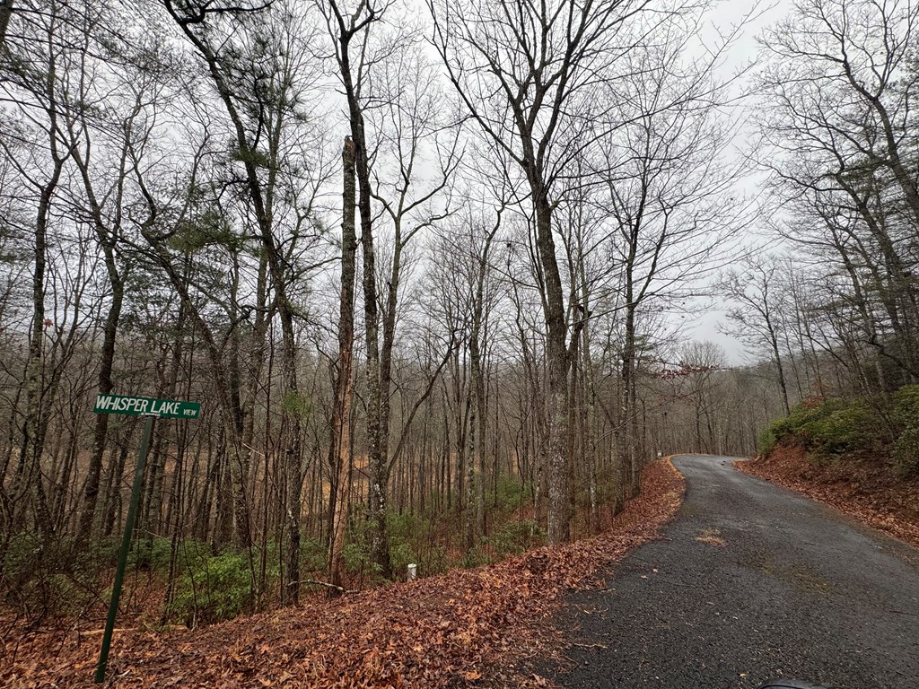 Lot 41 Whisper Woods Road