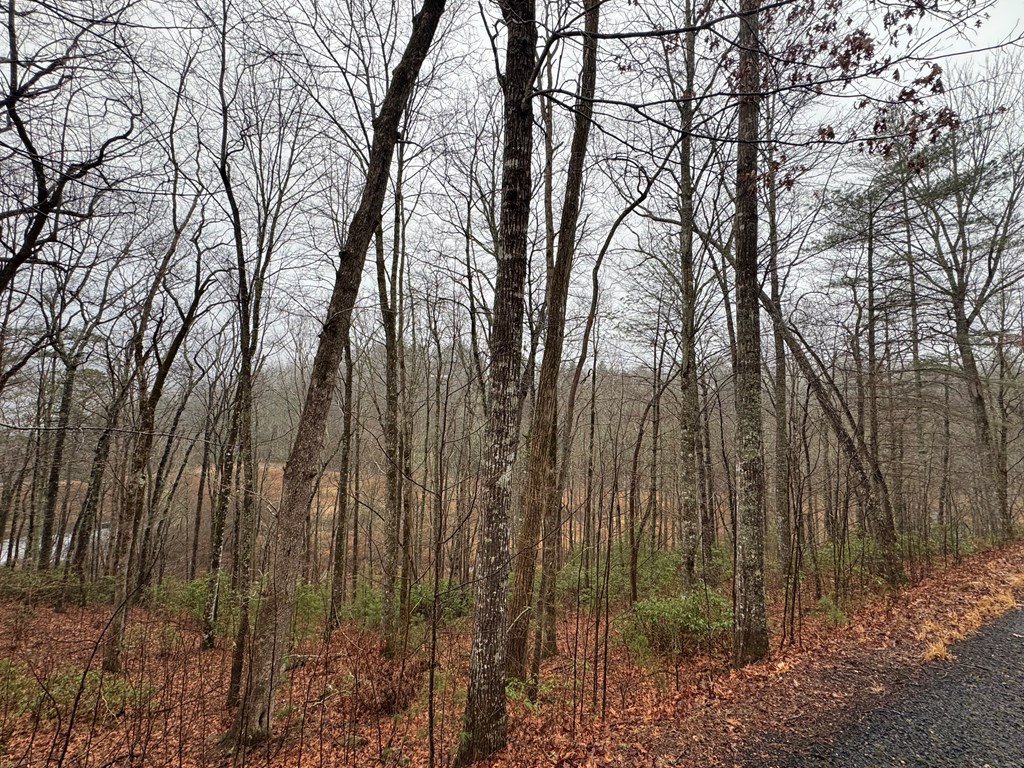 Lot 41 Whisper Woods Road