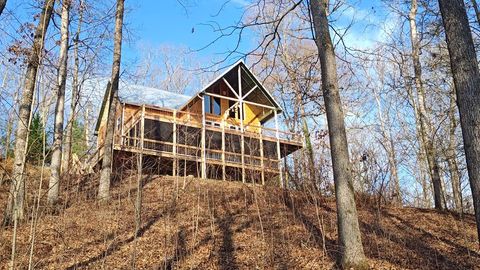 236 Grace Drive Blue Ridge GA 30513