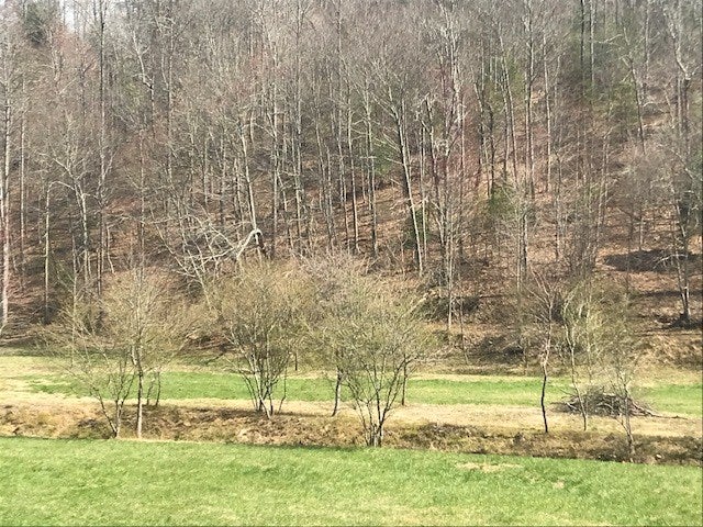 17.22 ac Skeenah Gap Road