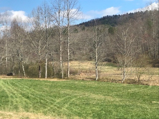 17.22 ac Skeenah Gap Road