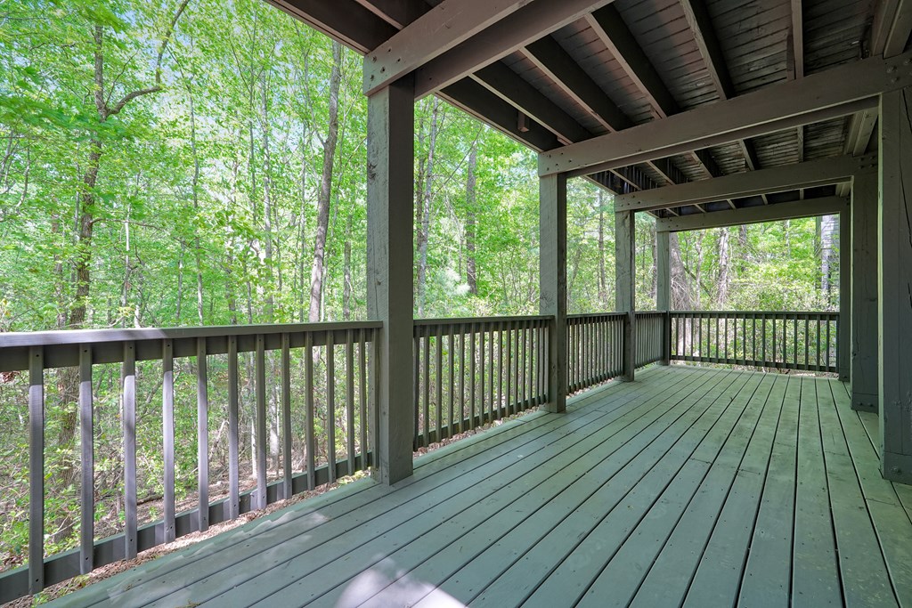 230 Chestnut Rise Trail