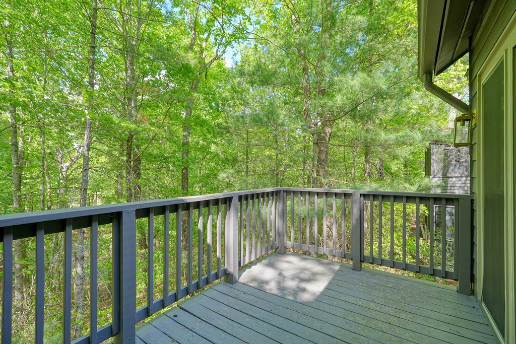 230 Chestnut Rise Trail