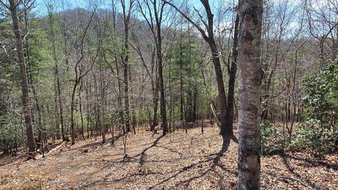 Lot 24 Pine Log Circle Warne NC 28909