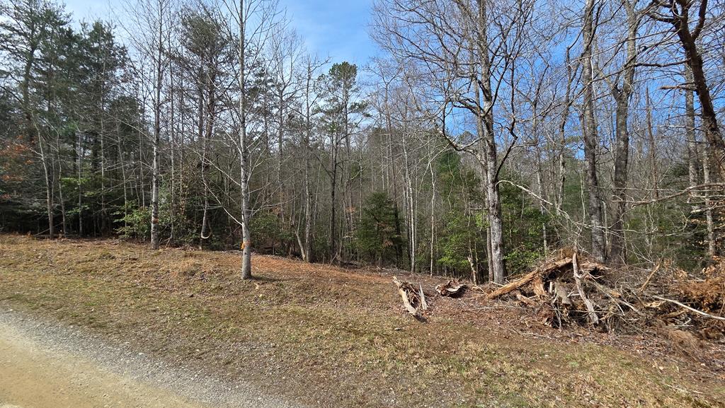 Lot 24 Pine Log Circle