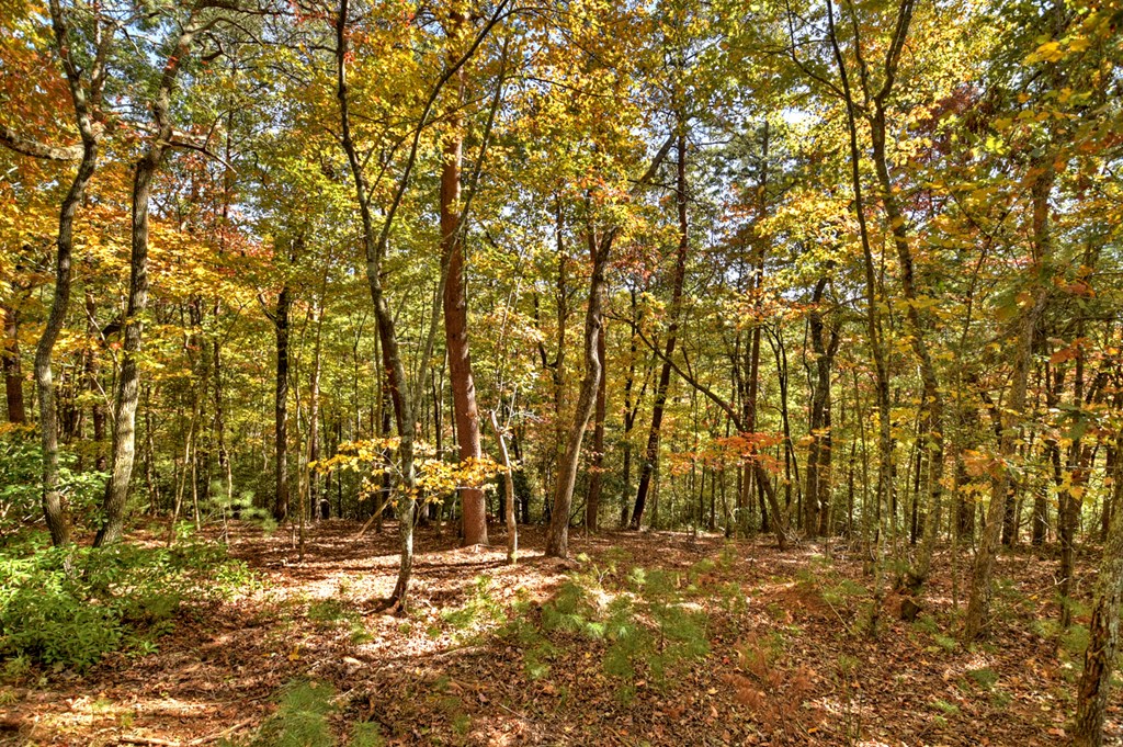 Lot 53 Whitepath Circle N