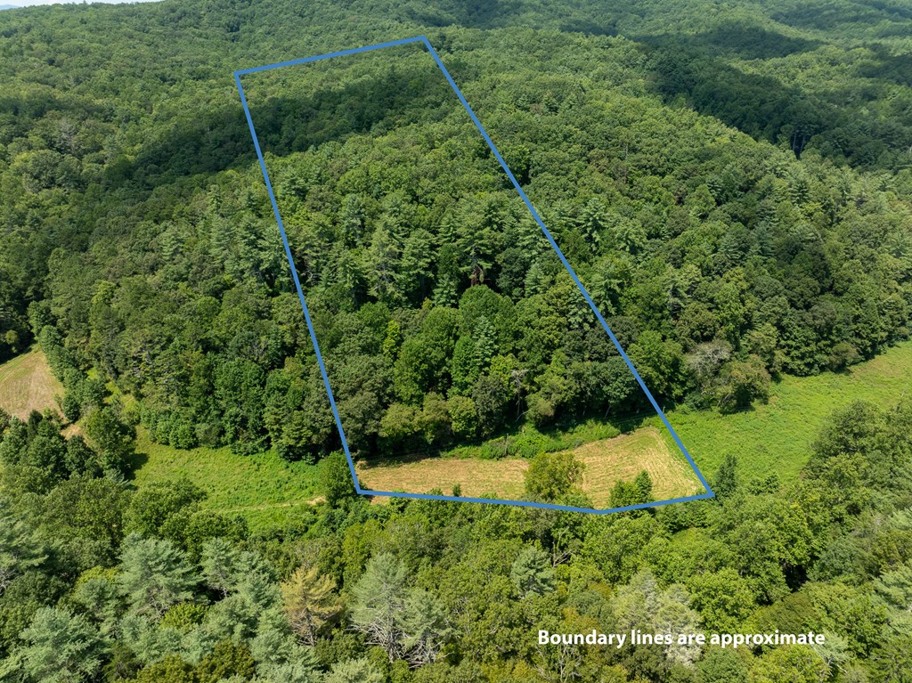 TR 3B Wolf Pen Gap Road