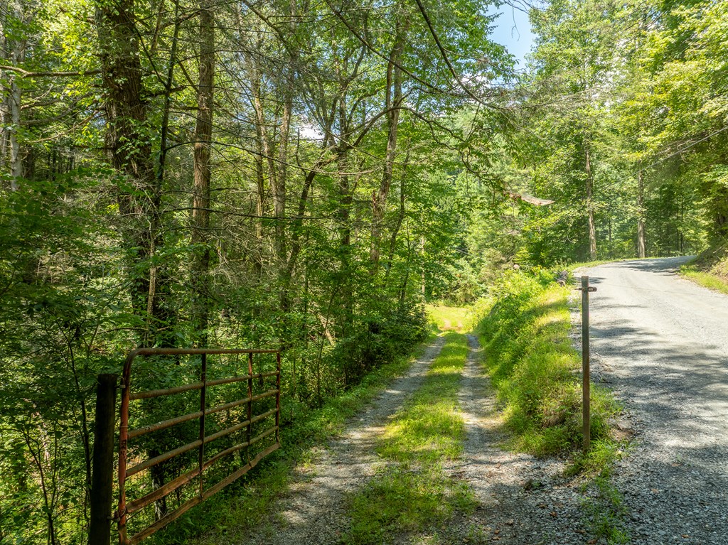 TR 3B Wolf Pen Gap Road