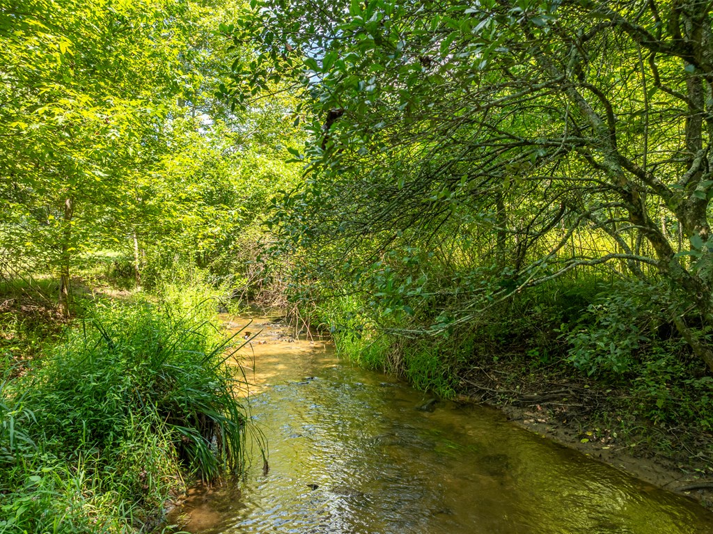 TR 3B Wolf Pen Gap Road