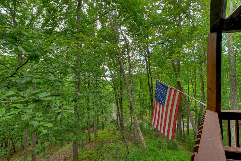 466 Hoot Owl Hill