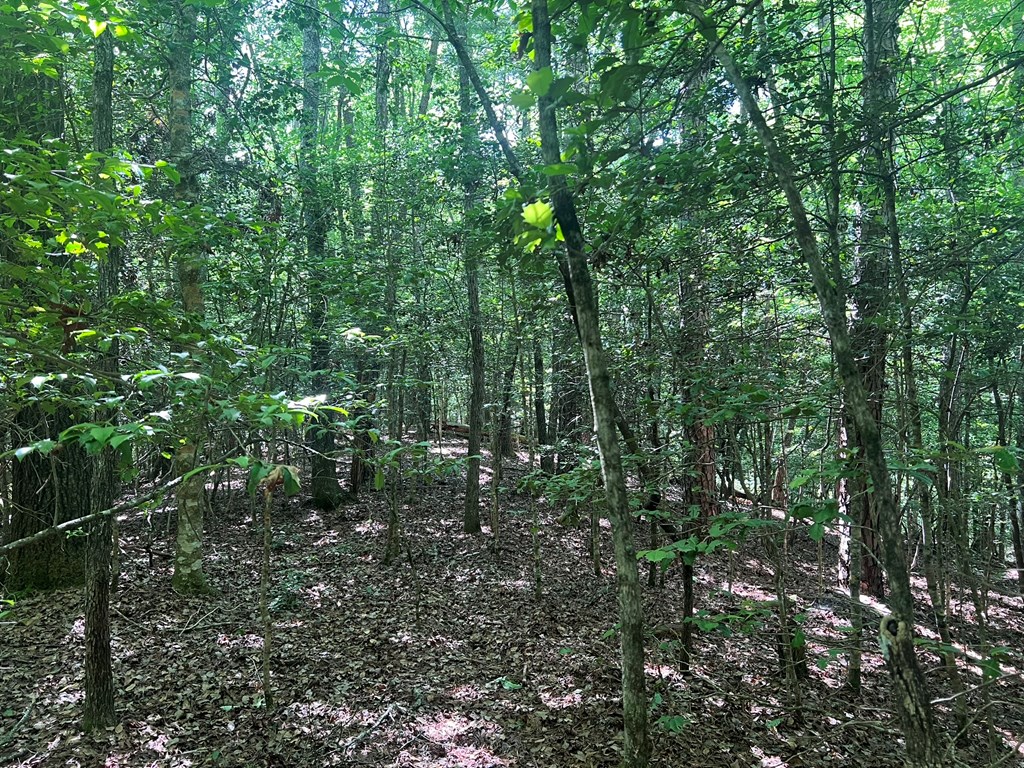 000 Tobe Stalcup Road