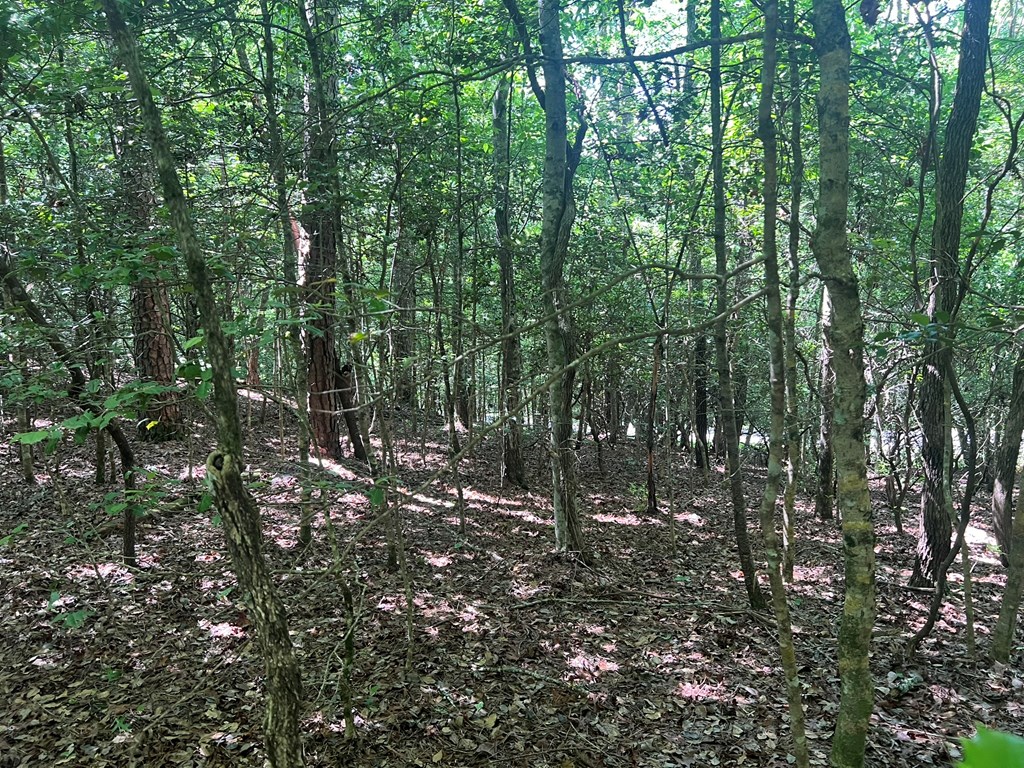 000 Tobe Stalcup Road