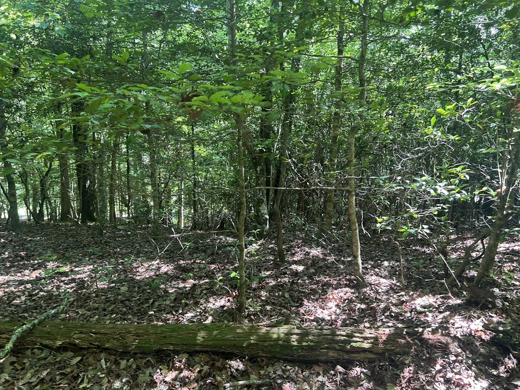 000 Tobe Stalcup Road