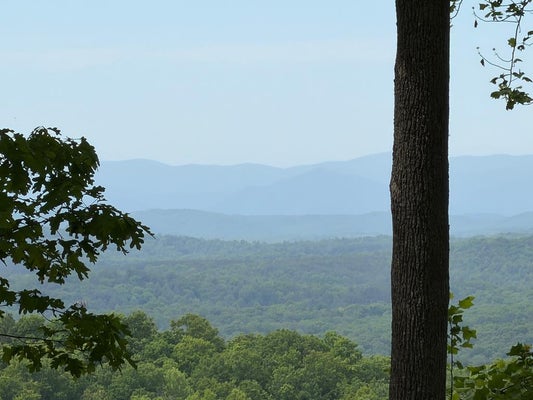 140 HIGHLAND TRCE, BLAIRSVILLE, GA 30512 - Image a1e4b2c4957e5bbf4ccf82f9050da14c/3867116273