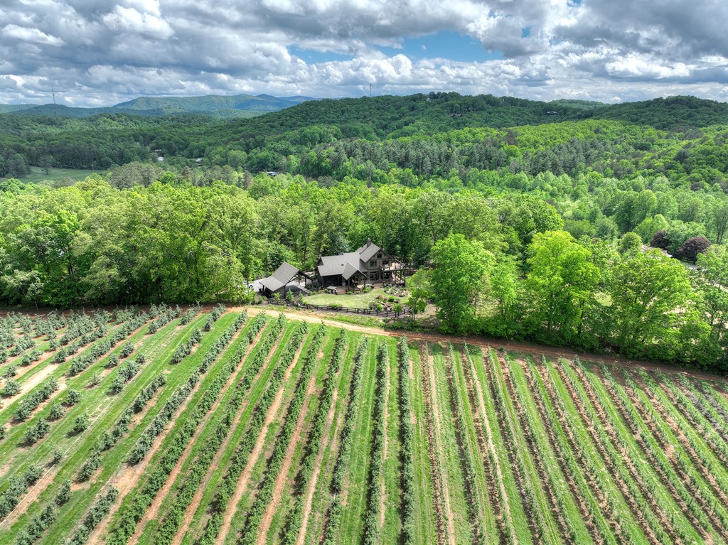 1241 Scenic Drive