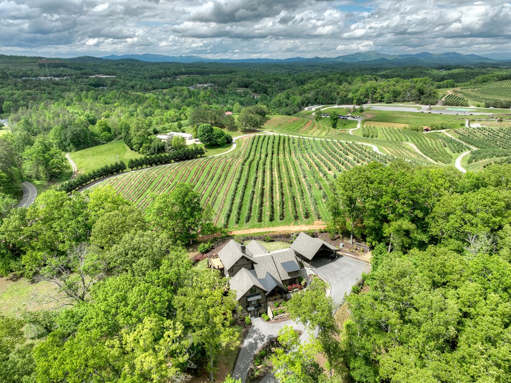 1241 Scenic Drive