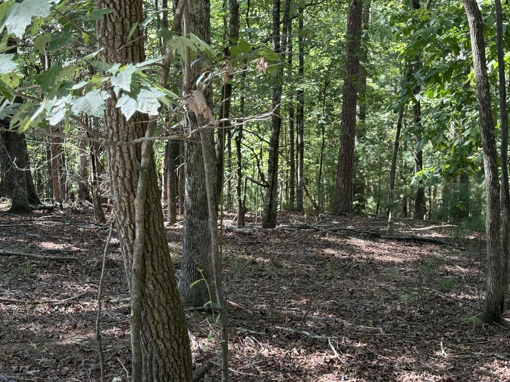 TR 13 Southern Pines Drive