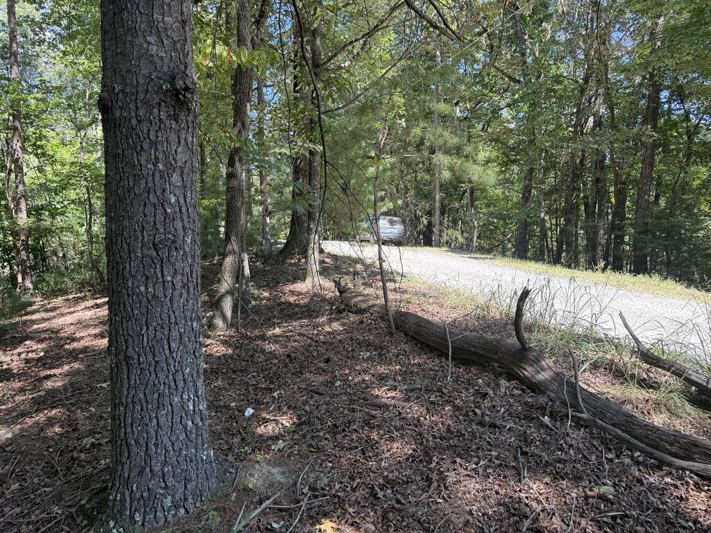 TR 13 Southern Pines Drive