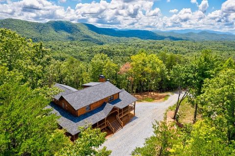 291 Pine Pass Circle Mineral Bluff GA 30559