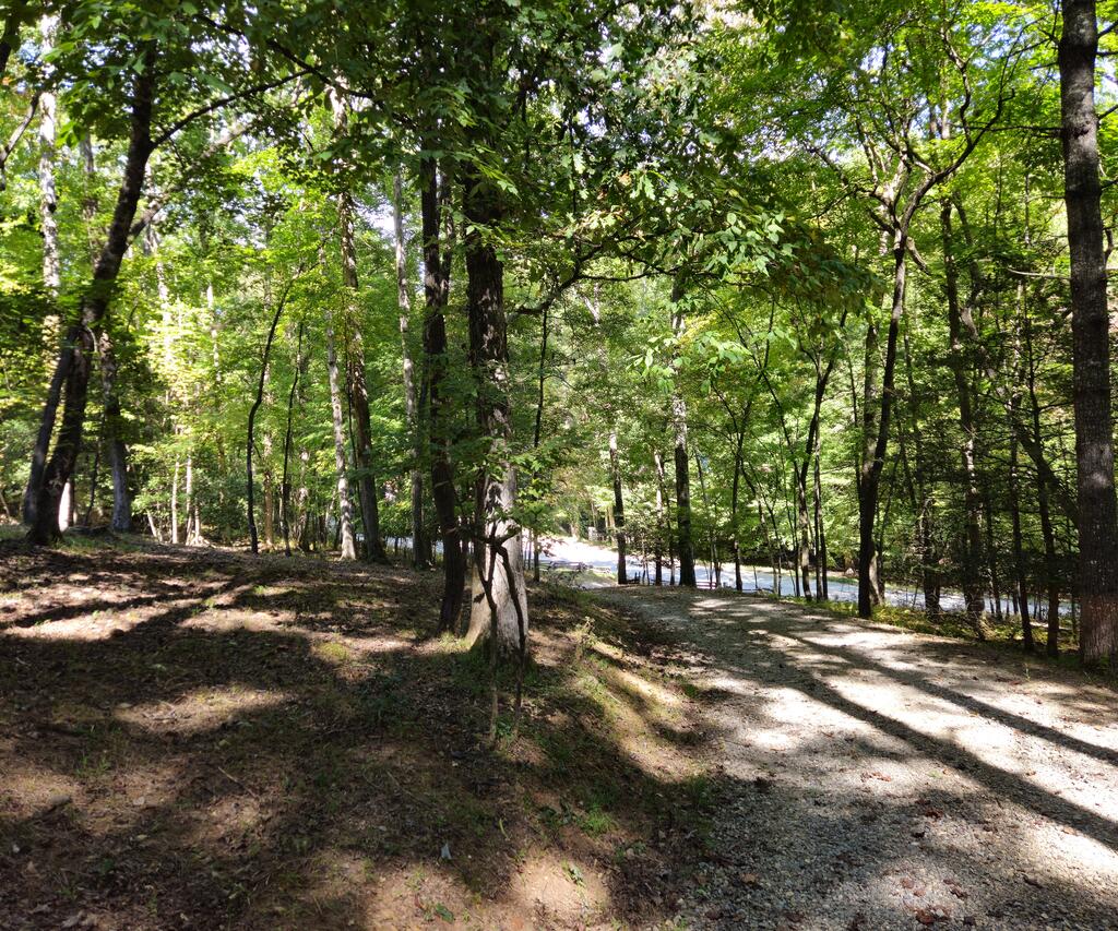 363 Weeks Creek Road